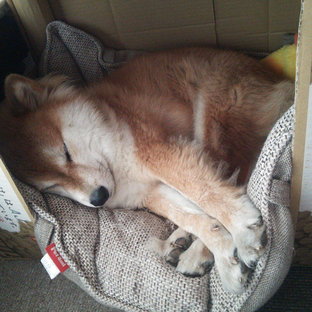 开云体育网页入口-国家队在亚冠联赛中爆冷 低谷背后藏着希望，亚冠联赛国安