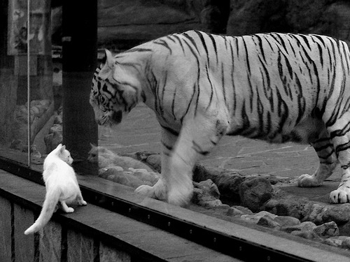 开云入口-田径测试赛设置全风速捕捉系统提升精度，田径测风速的标准