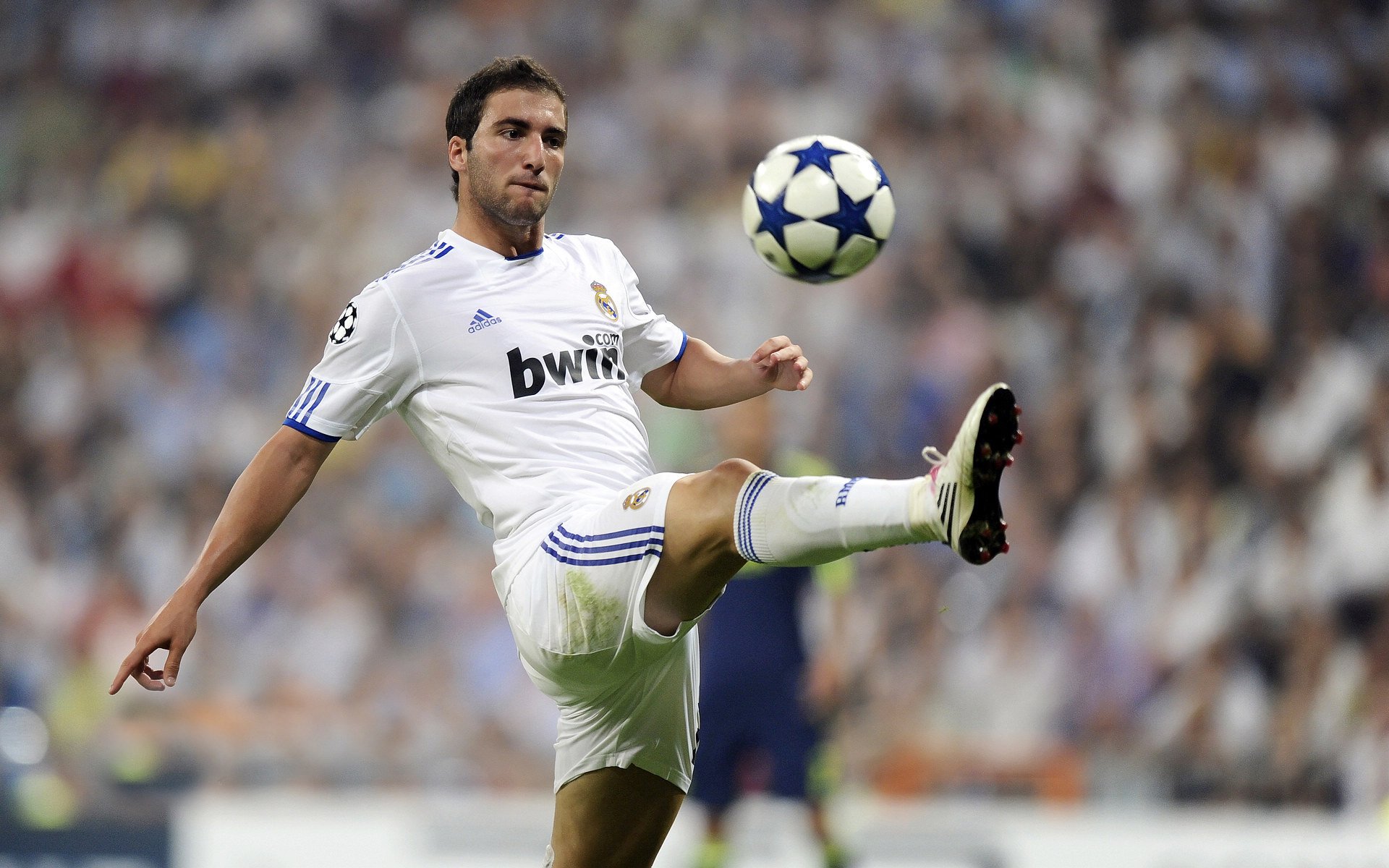 世界杯后主流媒体的报道倾向,世界杯主办方优势